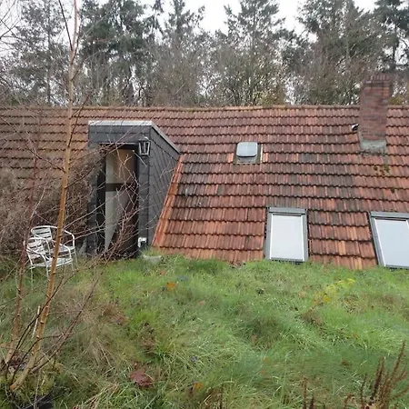 Dachwohnung Im Fairhandelshaus