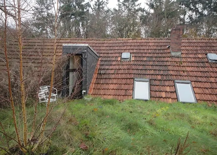 Dachwohnung Im Fairhandelshaus