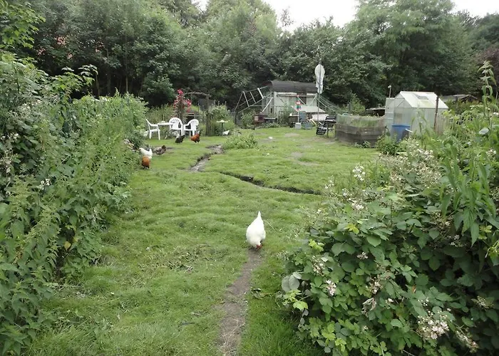 Dachwohnung Im Fairhandelshaus * Schortens